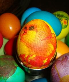 Мая Димитрова