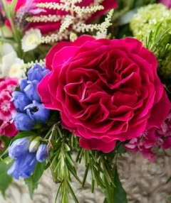 Йоана Манова