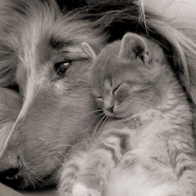 Елица Андонова