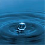 Никола Кирчев