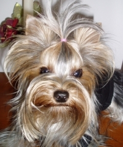 Лидия Трикова