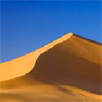 Мариана Димитрова