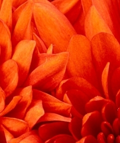 Екатерина Страхилова