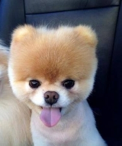 Катя Стефанова Вълева