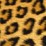 Йорданка Господинова