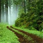 Запрянка Кирова