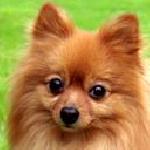 Мануела Викторова