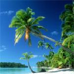 Петя Златева