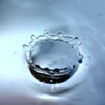 марин мораров