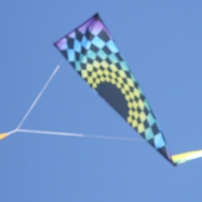 Мони Верони