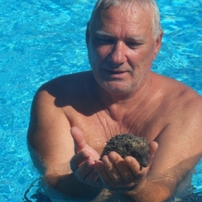 Кирил Кинов