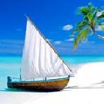 петя стефанова