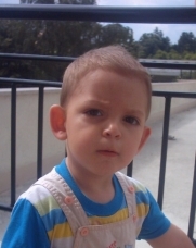 лястовицата